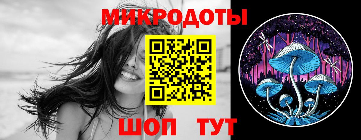 Псилоцибиновые грибы прущие грибы  Вход с VPN  где купить наркотик  Кингисепп 