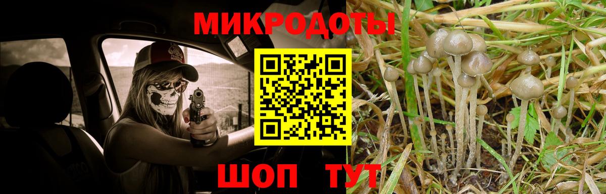 Псилоцибиновые грибы GOLDEN TEACHER Кингисепп